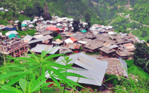 Malana Village